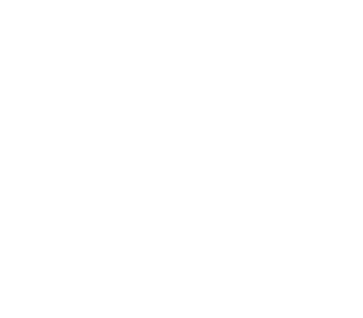 WinnersPlug Logo
